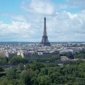 Meet your Posher, Brandy